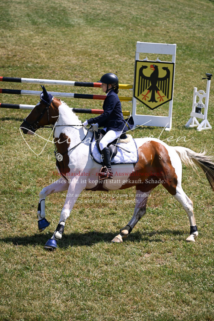 DSC_9948 | Pferde- und Turnierfotografie in Westsachsen. Pferdeportraits, Auftragszeichnungen und intuitive Kunst.