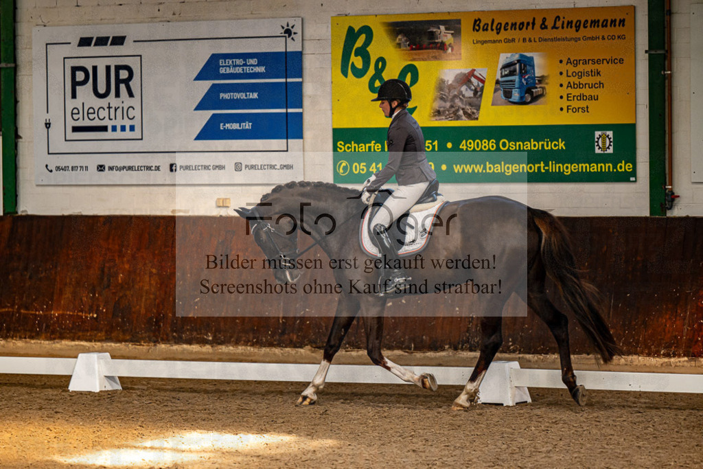 20240308-DOS_4388 | Entdecke hochwertige Reitturnierfotos von Foto Oger. Professionell, emotional und authentisch – jetzt Lieblingsmomente im Shop bestellen.Deutschlandweite Turnierfotografie. - Realisiert mit Pictrs.com
