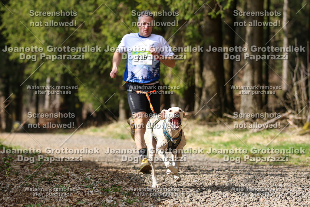 Dog Paparazzi - VCC26-307 | Dog Paparazzi Jeanette Grottendiek Fotografie & Videografie - Realisiert mit Pictrs.com