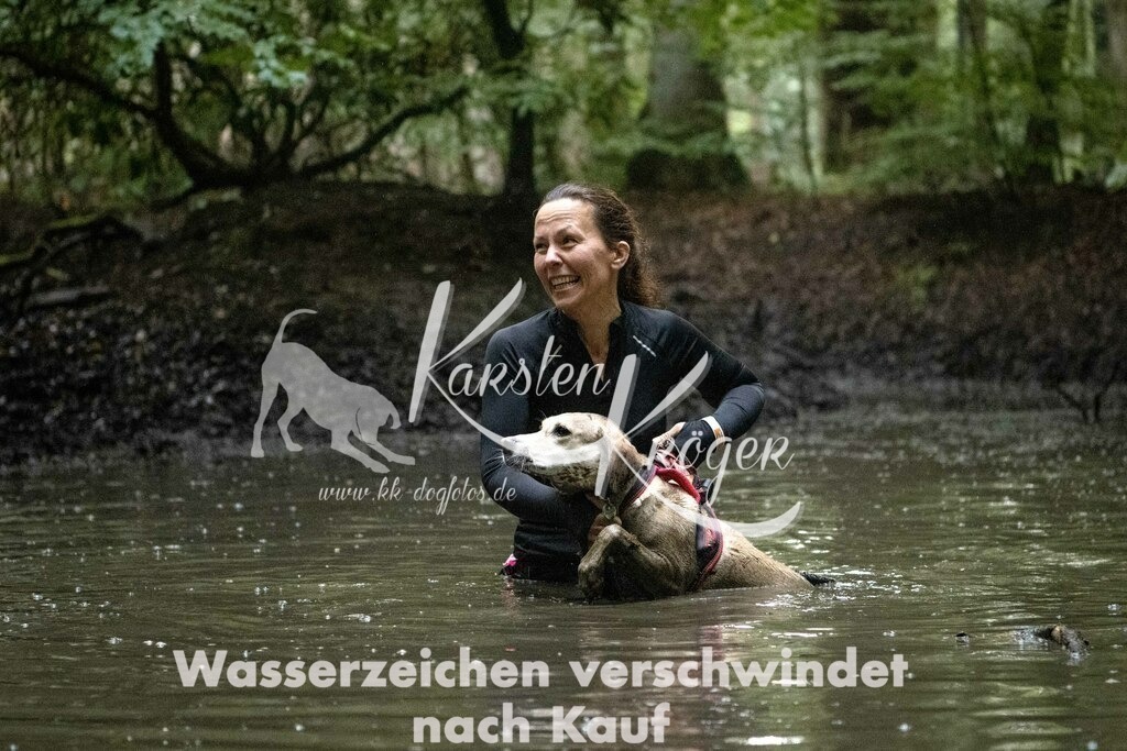 1232_ZZ91017-Bearbeitet | kk-dogfotos