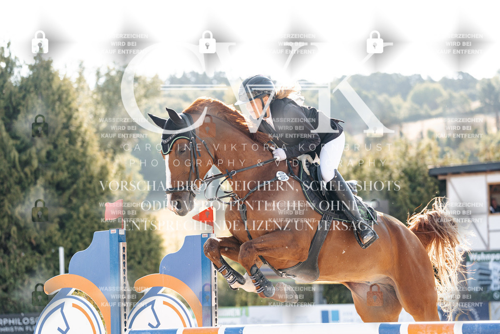 CK901542 | Turnierfotografie Pferdefotografie Trier Rheinland-Pfalz Pferdesport Reitsport Tierfotografie Sportfotografie Pferdevideo Pferdevideografie Equestrianvideography equestrianphotography  - Realisiert mit Pictrs.com