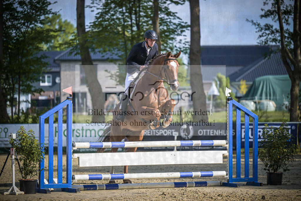 DOS_5293 | Entdecke hochwertige Reitturnierfotos von Foto Oger. Professionell, emotional und authentisch – jetzt Lieblingsmomente im Shop bestellen.Deutschlandweite Turnierfotografie. - Realisiert mit Pictrs.com