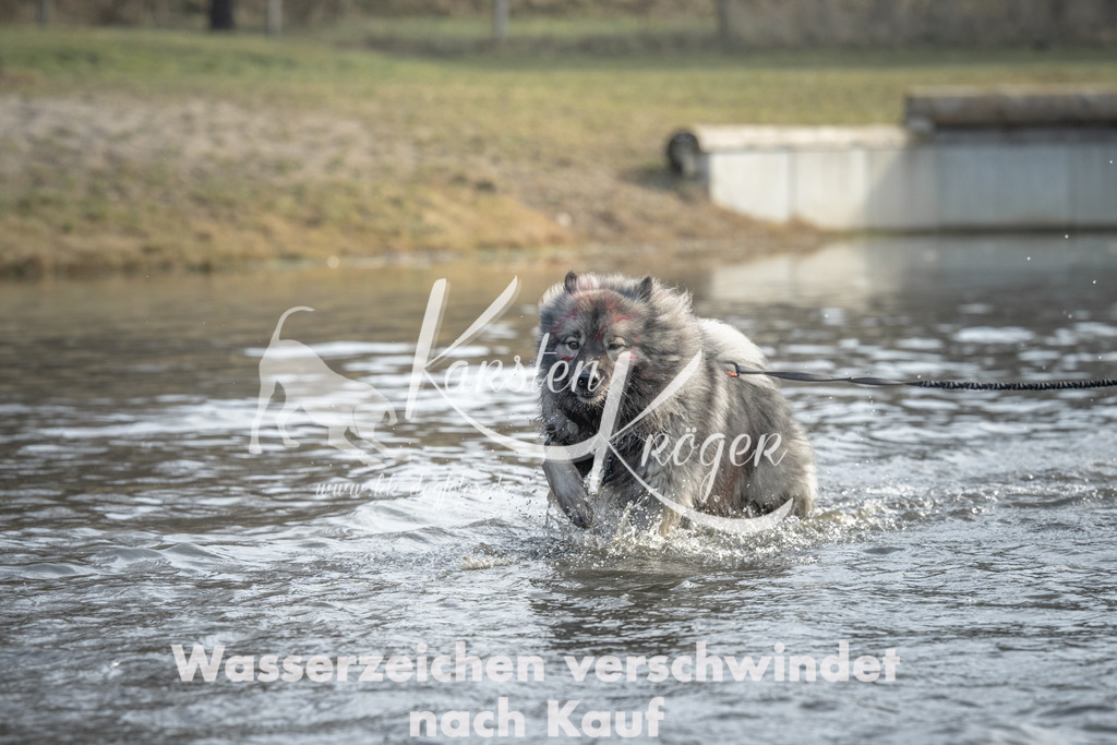 1055_ZZ90746 | kk-dogfotos