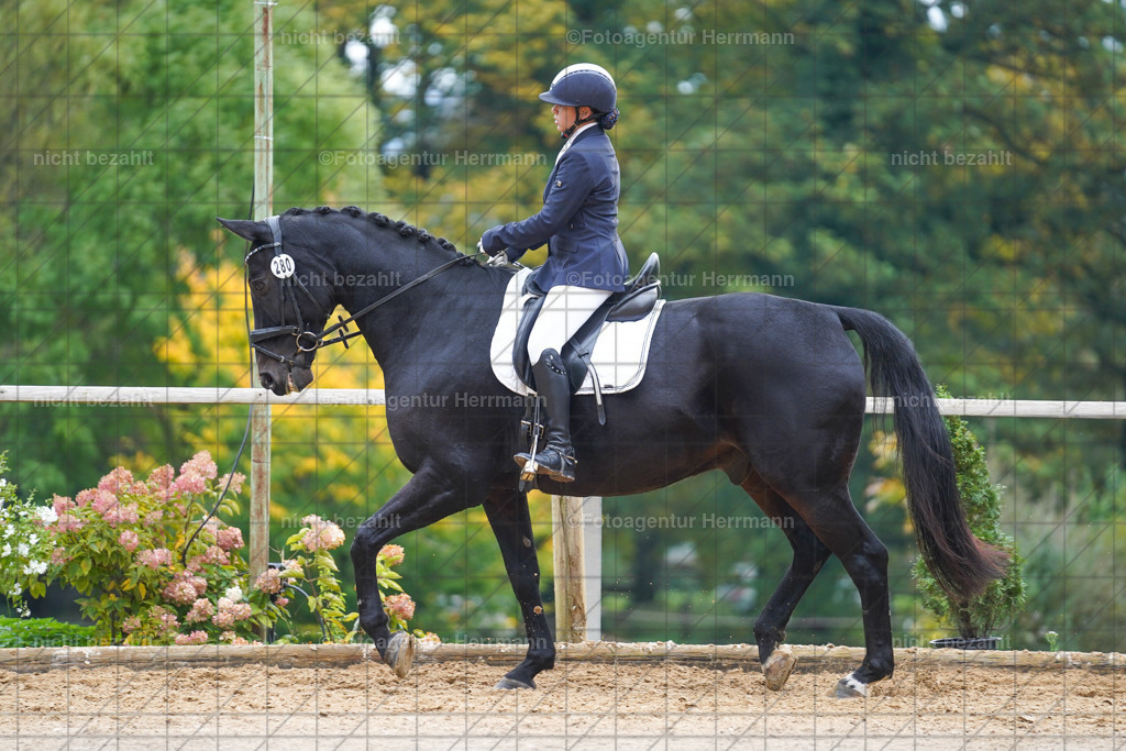 20221008-FAH00962 | Diessen am Ammersee, 2022, Dressur- und Springturnier, Reitsportbilder, Turnierfotografen Bayern, Pferdefotografen, Fotoagentur Herrmann, Turnierbilder