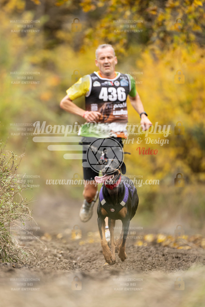 MompixPhotography_ICF_WC_2024_SA_Run_-431 | PayLife