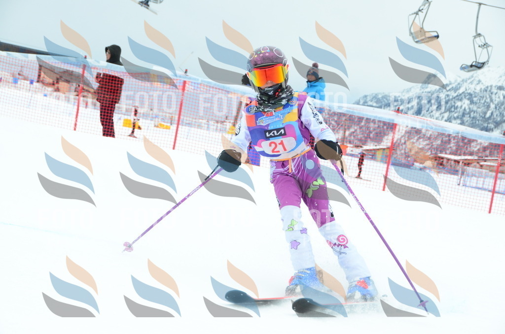 DSC_0781 | holidayphoto