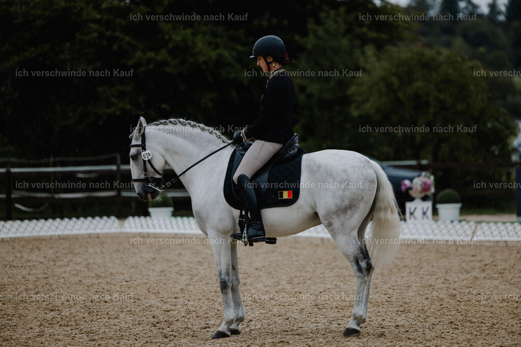 Virginie12FHC2025-25172 | working equitationturnier fotograf videograf stoibphotography marixx film working equitation deutschland reitsport turnierfotografie eventfotografie equestrian events