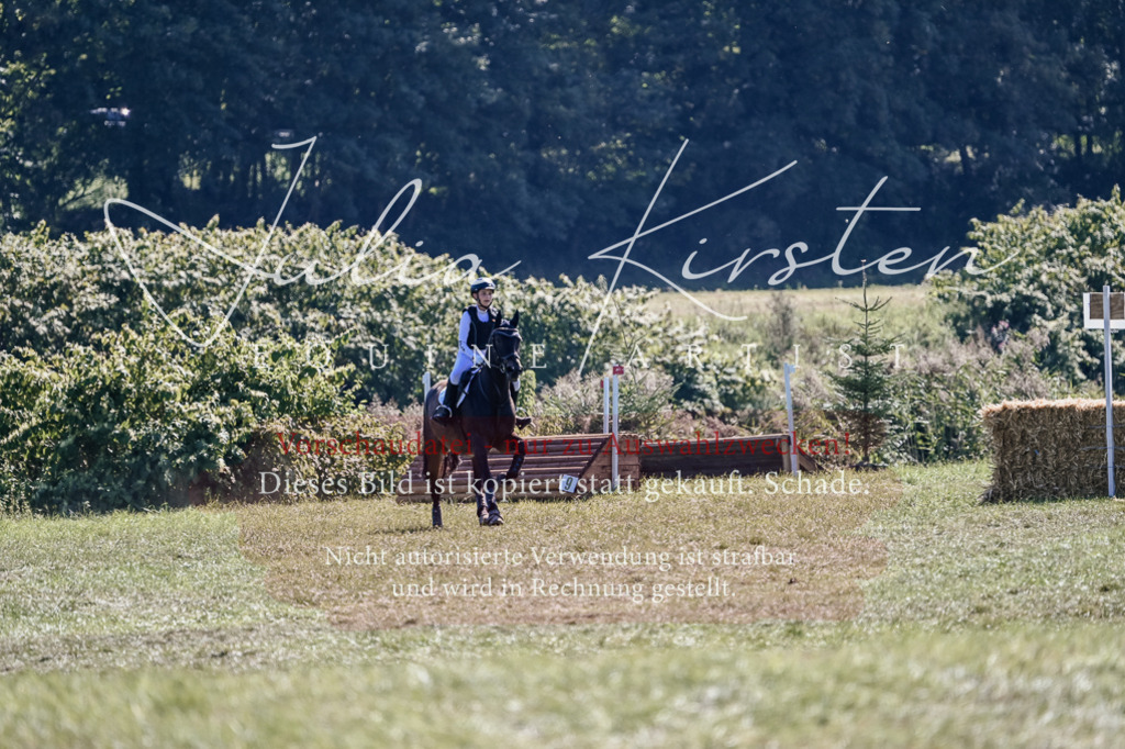 DSC_2770 | Pferde- und Turnierfotografie in Westsachsen. Pferdeportraits, Auftragszeichnungen und intuitive Kunst.