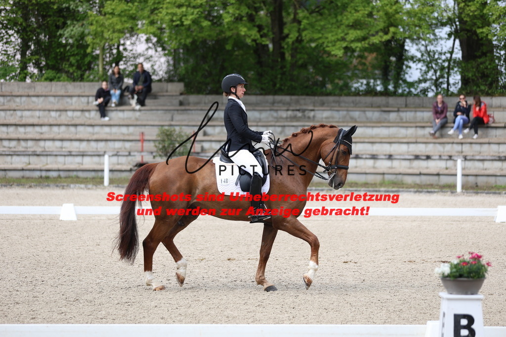 A40A4034 | lmwpictures - Realisiert mit Pictrs.com