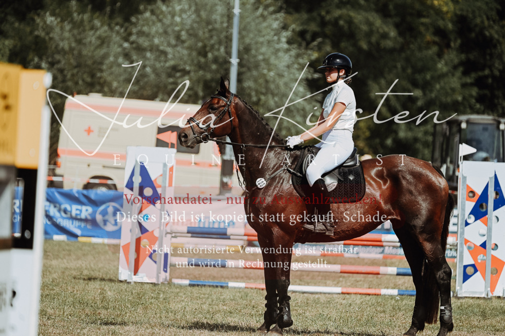 DSC_9985 | Pferde- und Turnierfotografie in Westsachsen. Pferdeportraits, Auftragszeichnungen und intuitive Kunst.