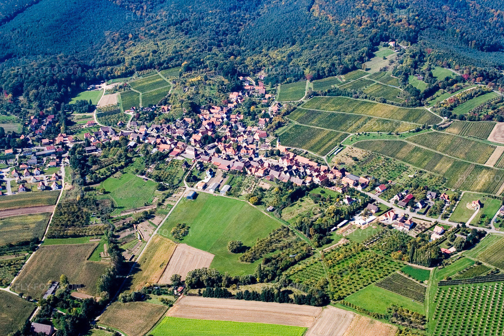 Aerial view: View of the town in Rott in the state Bas-Rhin, France.Photo: IMG_13612.jpg taken on 09/28/2008 by Werner Riehm/FLY-FOTO.comResolution of the original: 3456 x 2304 px