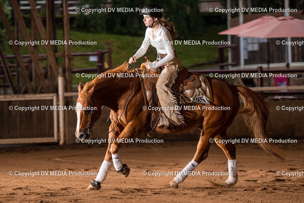 Erbach Tag 3-845 | dv-media-shop - Realisiert mit Pictrs.com