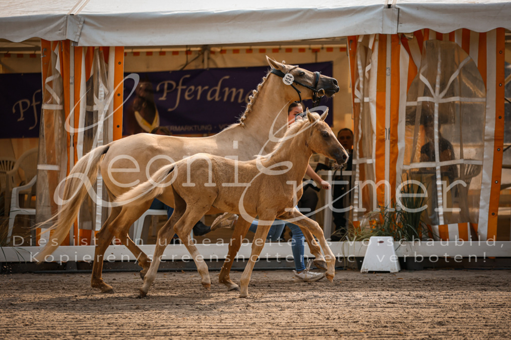 10.DoRP00025 | Leoni Ertmer Photography - Realisiert mit Pictrs.com