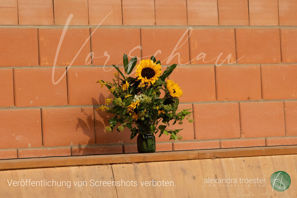 250913_Barop_11_026 | farbklaex.com
