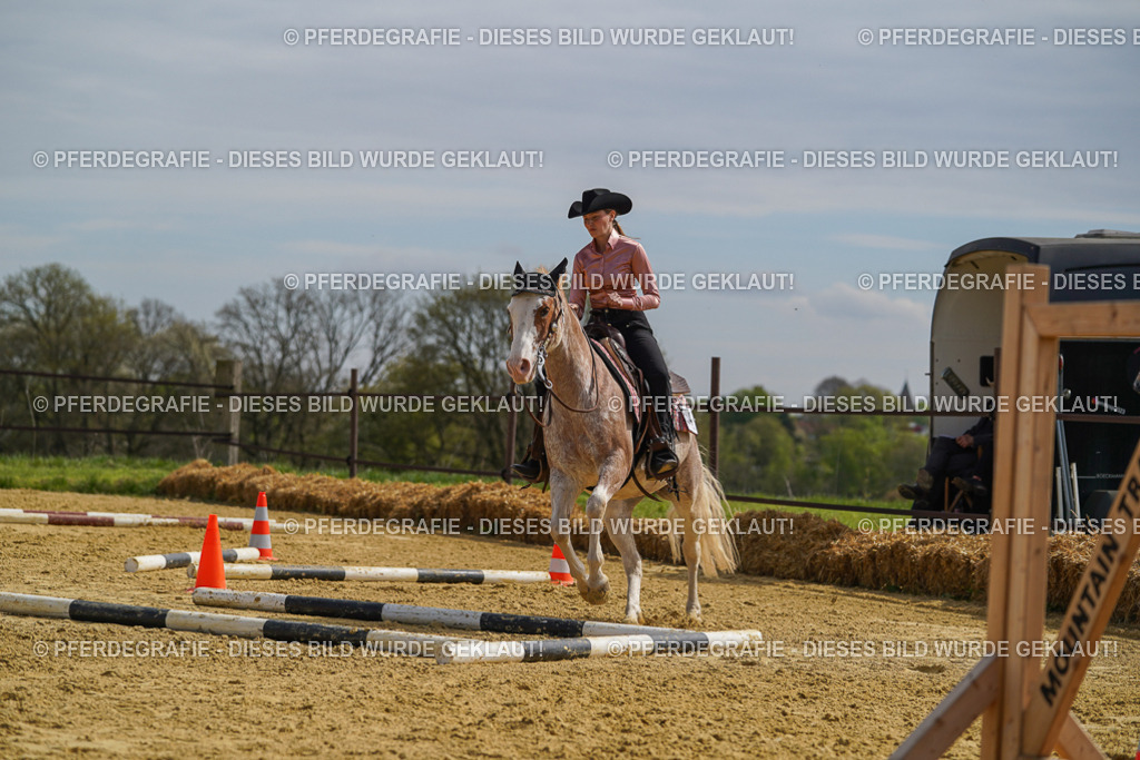 DSC04129 | Pferdegrafie