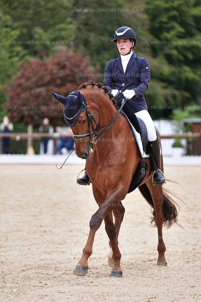 04_1-143-Dressur M__ -Marixx-2718 | working equitationturnier fotograf videograf stoibphotography marixx film working equitation deutschland reitsport turnierfotografie eventfotografie equestrian events