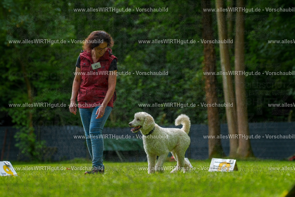 @allesWIRTHgut_Tierfotografie - www.allesWIRTHgut.de - 7R505215 | Professionelle Tierfotografie in Mönchengladbach von Daniel Wirth (allesWIRTHgut). Liebevolle & natürliche Bilder von Hunden & Katzen für unvergessliche Erinnerungen.