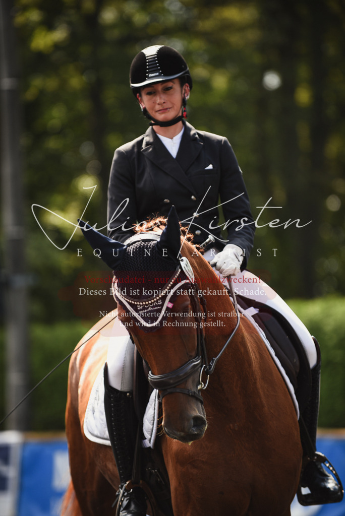 DSC_4053 | Pferde- und Turnierfotografie in Westsachsen. Pferdeportraits, Auftragszeichnungen und intuitive Kunst.