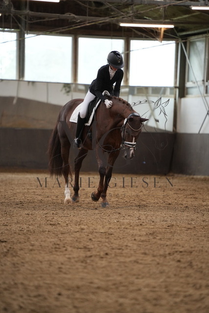 DSC03186 | Marie Giesen Fotografie - Realisiert mit Pictrs.com