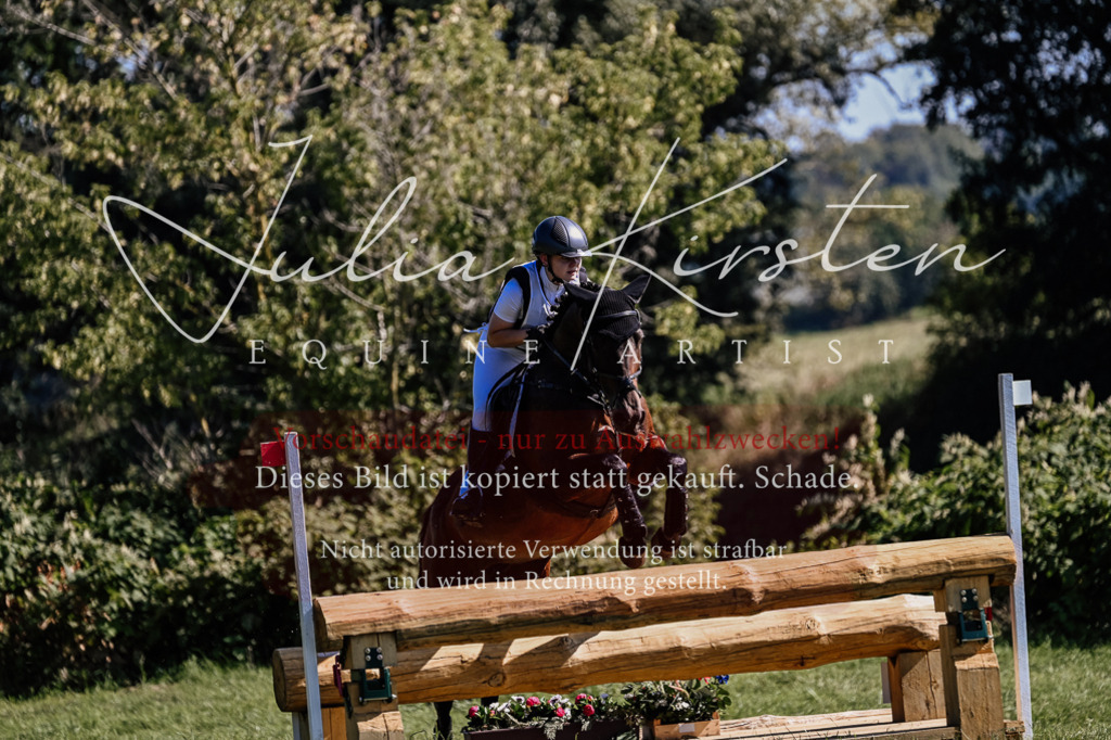 DSC_1524 | Pferde- und Turnierfotografie in Westsachsen. Pferdeportraits, Auftragszeichnungen und intuitive Kunst.