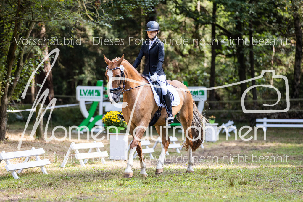 HB-Dressur-WB-112 | MomenTaufnahmen Pferdesportfotos