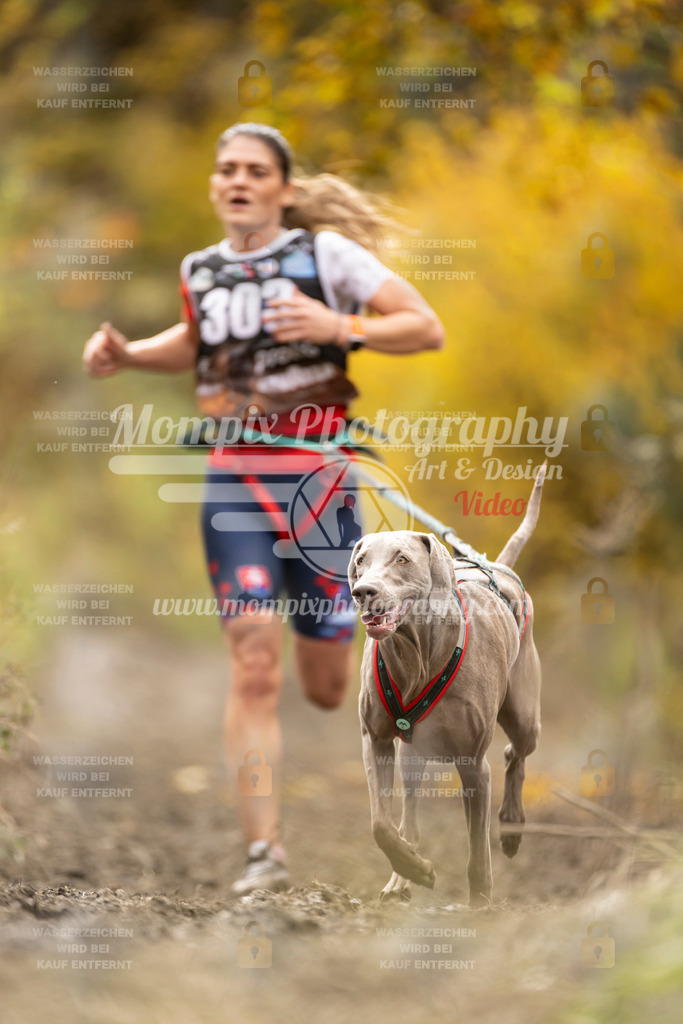 MompixPhotography_ICF_WC_2024_SA_Run_-160 | PayLife