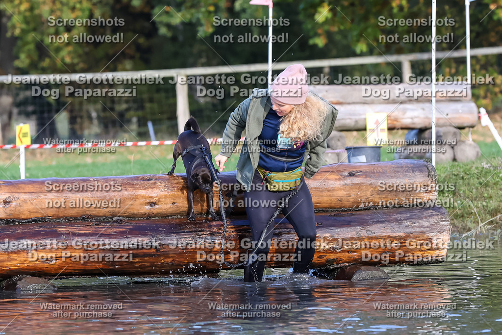 Dog Paparazzi - Strongdog 10-25-8590 | Dog Paparazzi Jeanette Grottendiek Fotografie & Videografie - Realisiert mit Pictrs.com