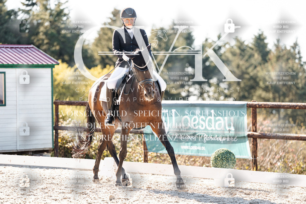 CK906306 | Turnierfotografie Pferdefotografie Trier Rheinland-Pfalz Pferdesport Reitsport Tierfotografie Sportfotografie Pferdevideo Pferdevideografie Equestrianvideography equestrianphotography  - Realisiert mit Pictrs.com