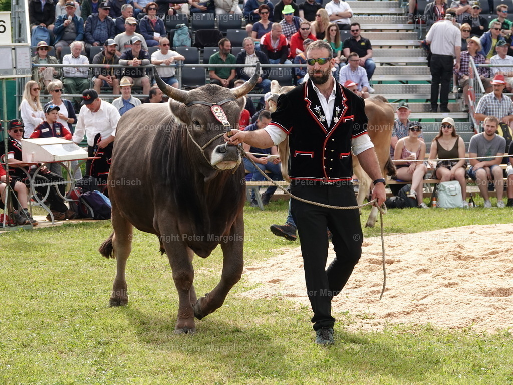 DSC06723 | Schwingen - Realisiert mit Pictrs.com