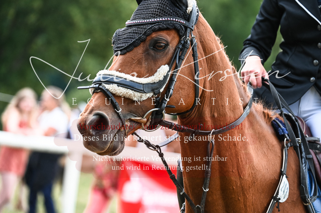 DSC_9100 | Pferde- und Turnierfotografie in Westsachsen. Pferdeportraits, Auftragszeichnungen und intuitive Kunst.