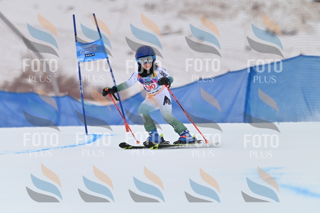 BGV_1420 | holidayphoto