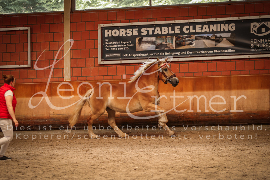 SaFL00215 | Leoni Ertmer Photography - Realisiert mit Pictrs.com