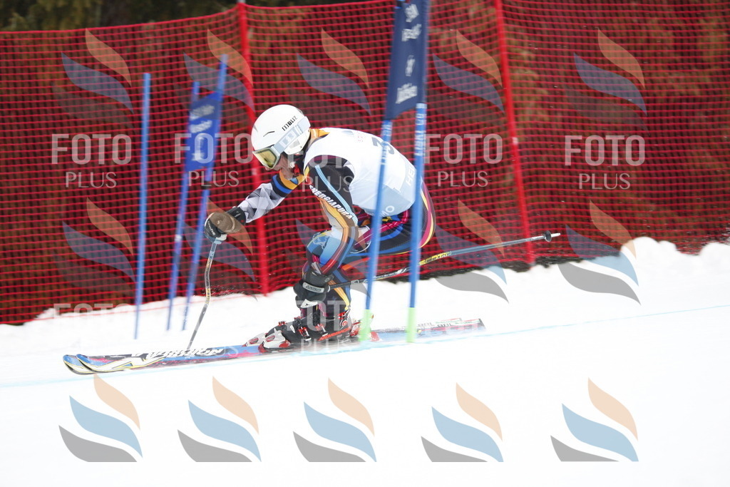 D5176 | holidayphoto