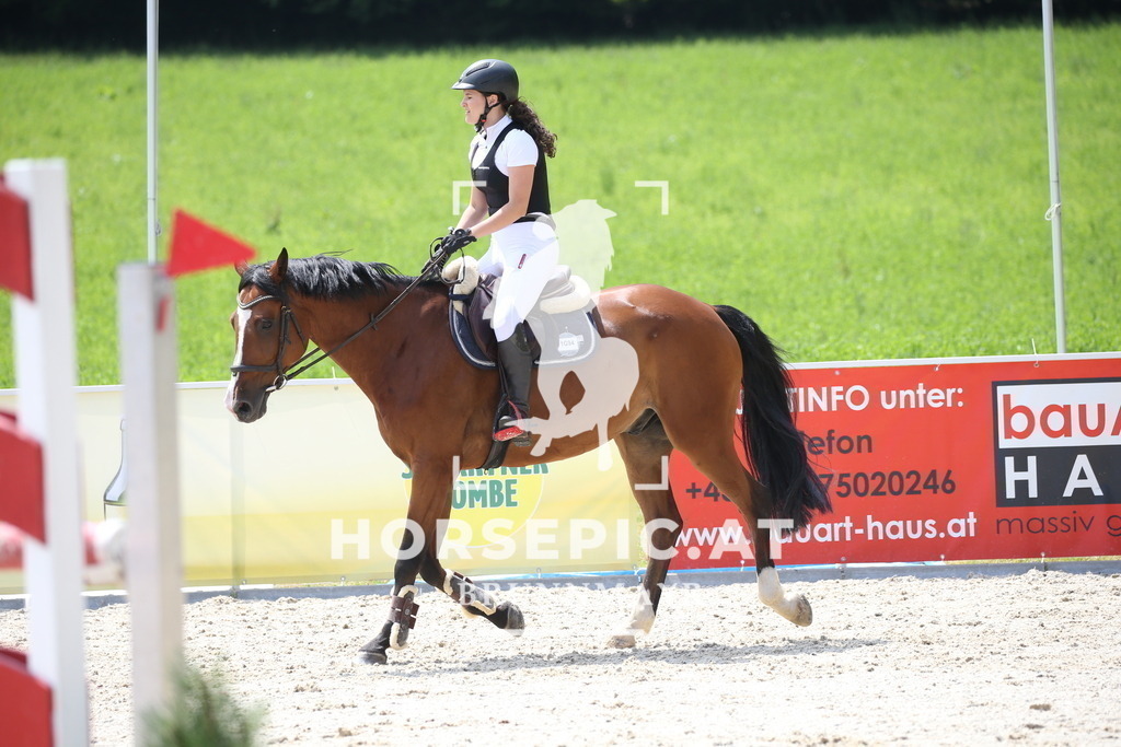 DL2Q0435 | Willkommen bei Brunnmayr - Design & Fotografie – Ihrem Spezialisten für Reitturniere und Pferdeveranstaltungen in Oberösterreich, Salzburg und Bayern! Seit über 17 Jahren sind wir leidenschaftlich dabei.