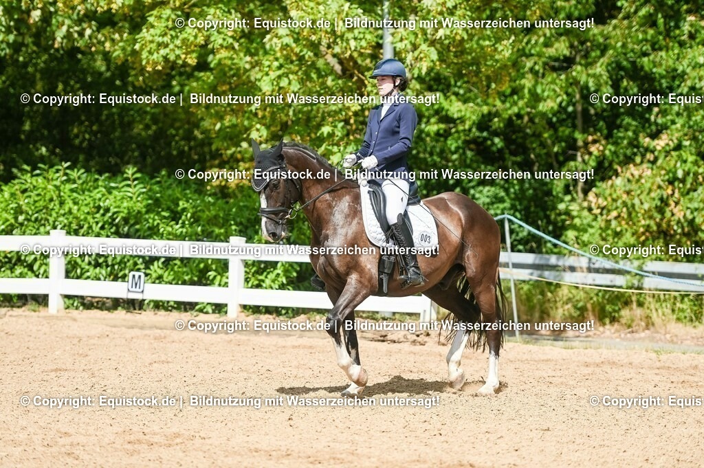 20230715_02_Dressurreiterprüfung Kl.L_0286 | equistock