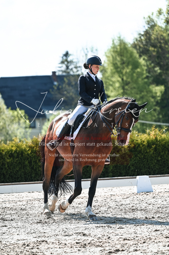 20230514_JK-Röhrsdorf-18-465 | Pferde- und Turnierfotografie in Westsachsen. Pferdeportraits, Auftragszeichnungen und intuitive Kunst.