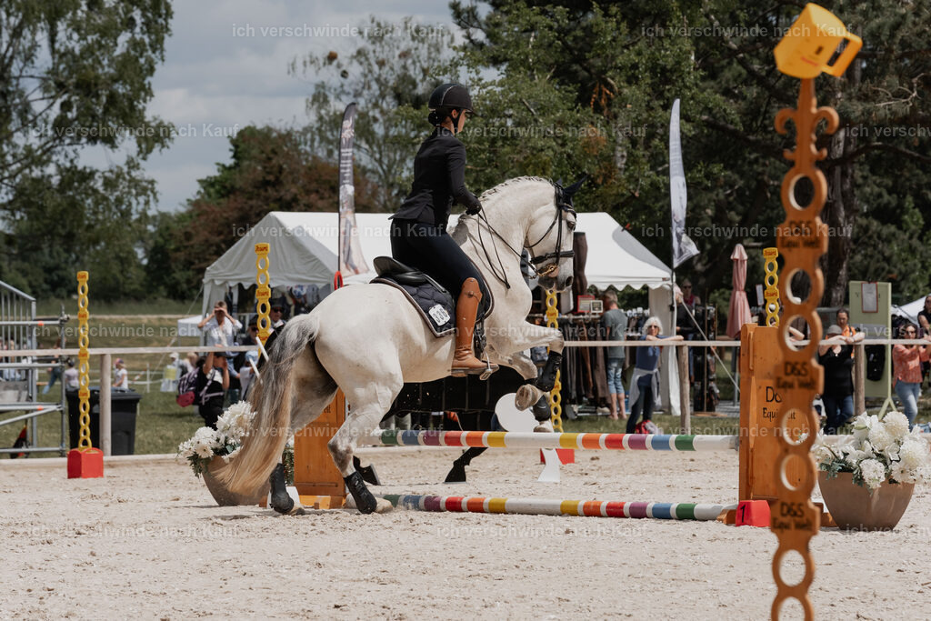 WE_ST_Stoib_336_PI2025_1114 | Pferd International München 2025