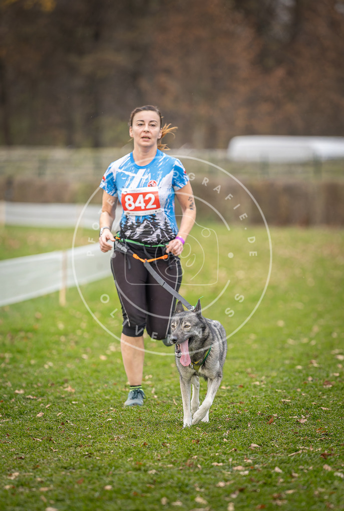 CaniXpix_DV3A6537 | Hundefotografie, Tierfotograf, Pfotenfotografie, Fotoshooting Hund, Hunde Portrait, Hundesport, Hundeportraits, Heideshooting, Hunde, Sportfotograf, Hundefotograf, Turnierhundsport, THS,  - Realisiert mit Pictrs.com