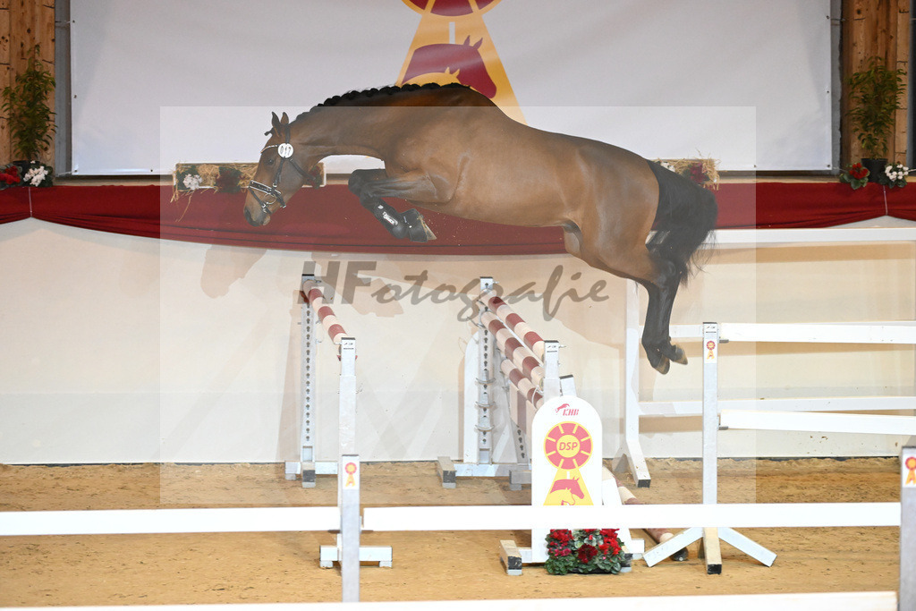 Kat-Nr. 17 Cullinan du Borget_Keitel u Tischer_1230864 | hf-fotografie - Realisiert mit Pictrs.com