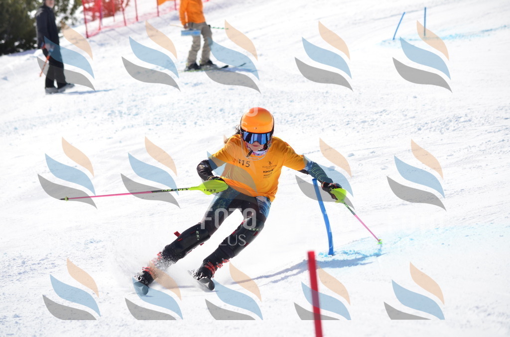 C9548 | holidayphoto