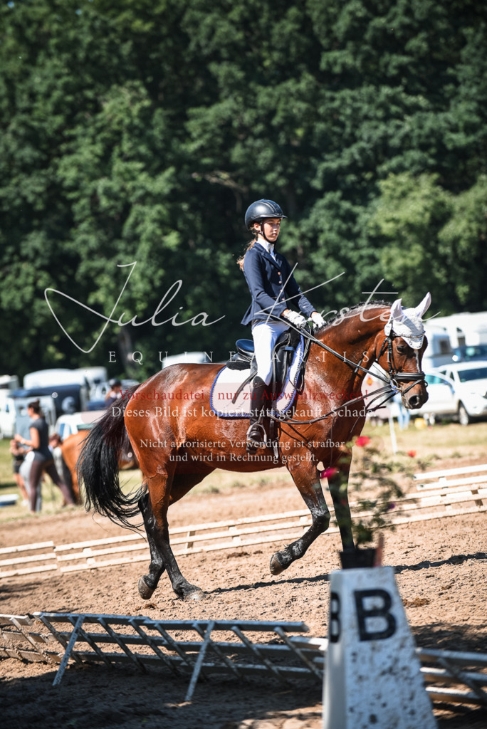 DSC_3479 | Pferde- und Turnierfotografie in Westsachsen. Pferdeportraits, Auftragszeichnungen und intuitive Kunst.