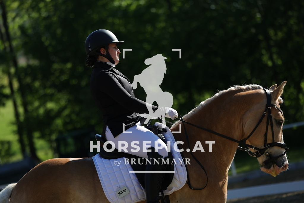 0P6A9348 | Willkommen bei Brunnmayr - Design & Fotografie – Ihrem Spezialisten für Reitturniere und Pferdeveranstaltungen in Oberösterreich, Salzburg und Bayern! Seit über 17 Jahren sind wir leidenschaftlich dabei.