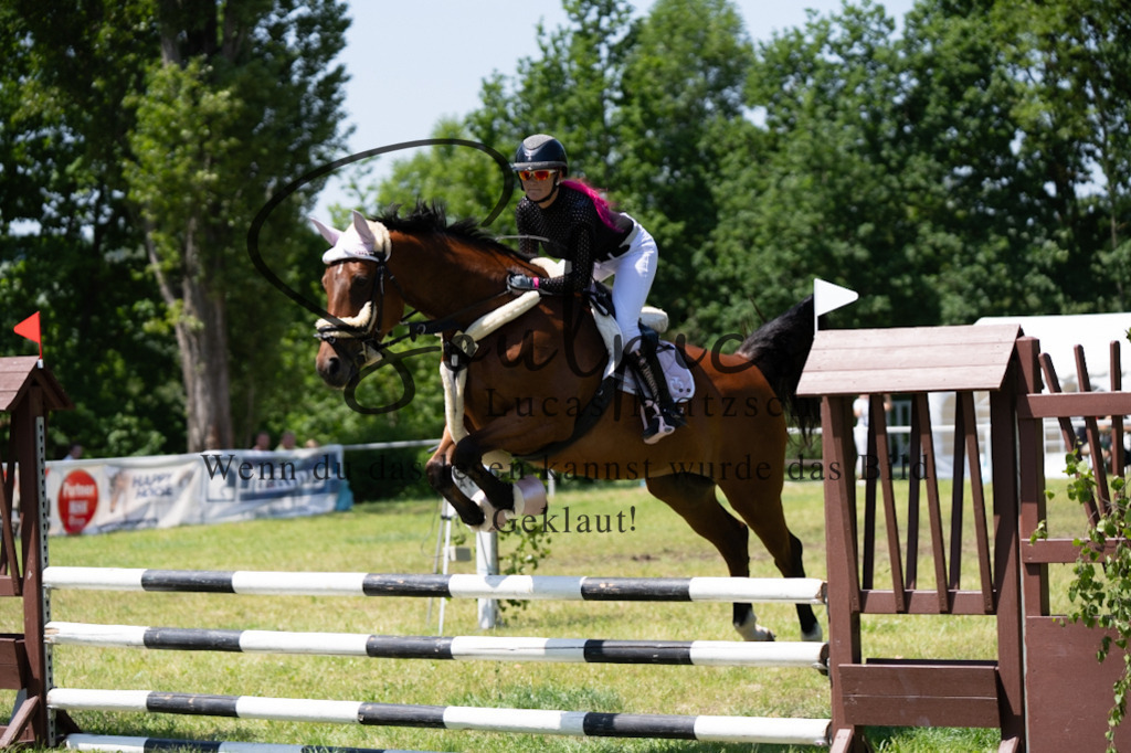 A7V06038 | Pferdefotograf