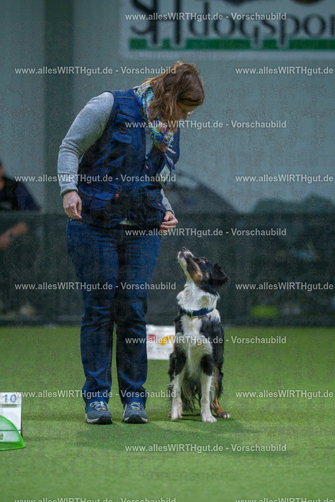 7R500561 | Professionelle Tierfotografie in Mönchengladbach von Daniel Wirth (allesWIRTHgut). Liebevolle & natürliche Bilder von Hunden & Katzen für unvergessliche Erinnerungen.