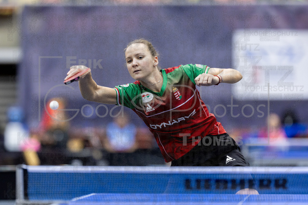 European_Championships_2024-10-15_046 | good-photos - Realized with Pictrs.com