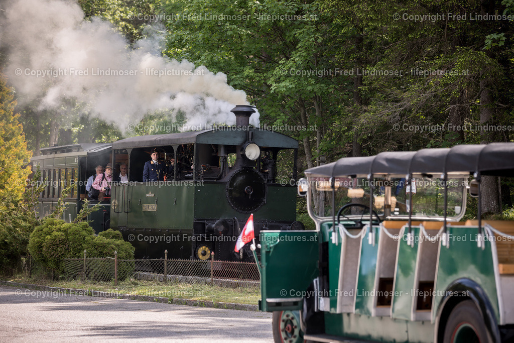 Erlaufsee Ausflugsschiff Fleissner-1479 | Fotos und Fotoprodukte - Realisiert mit Pictrs.com