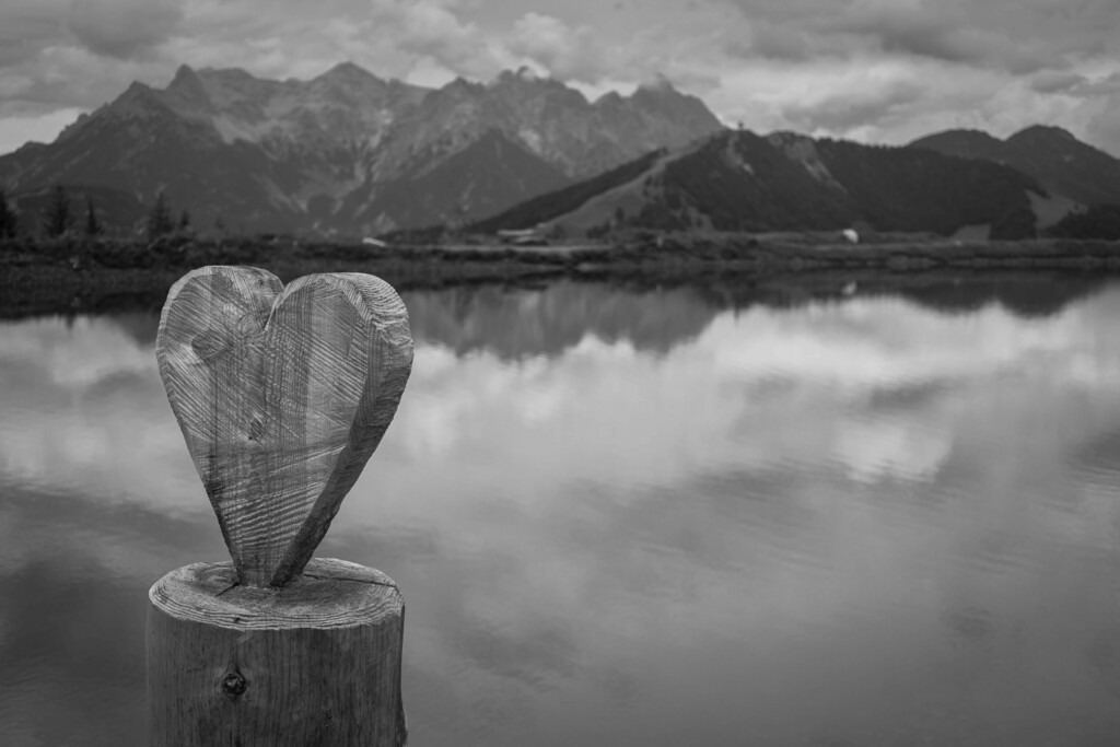 _W5A4741 | Sich an die einzigartigen Momente der Natur und Landschaft sowie die Begegnung mit heimischen wilden Tieren zu erinnern, dies kann man anhand den Bilder der Natur und Landschaftsfotografin Sandra Eimermacher.  - Realisiert mit Pictrs.com