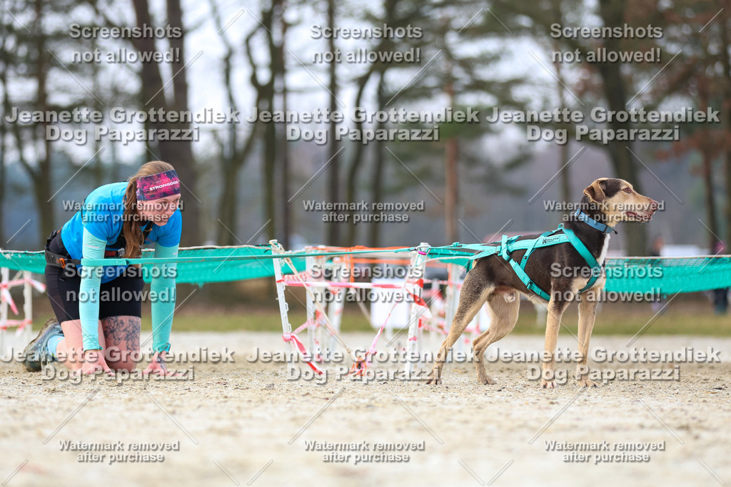 Dog Paparazzi - Strongdog North Mrz26-3868 | Dog Paparazzi Jeanette Grottendiek Fotografie & Videografie - Realisiert mit Pictrs.com