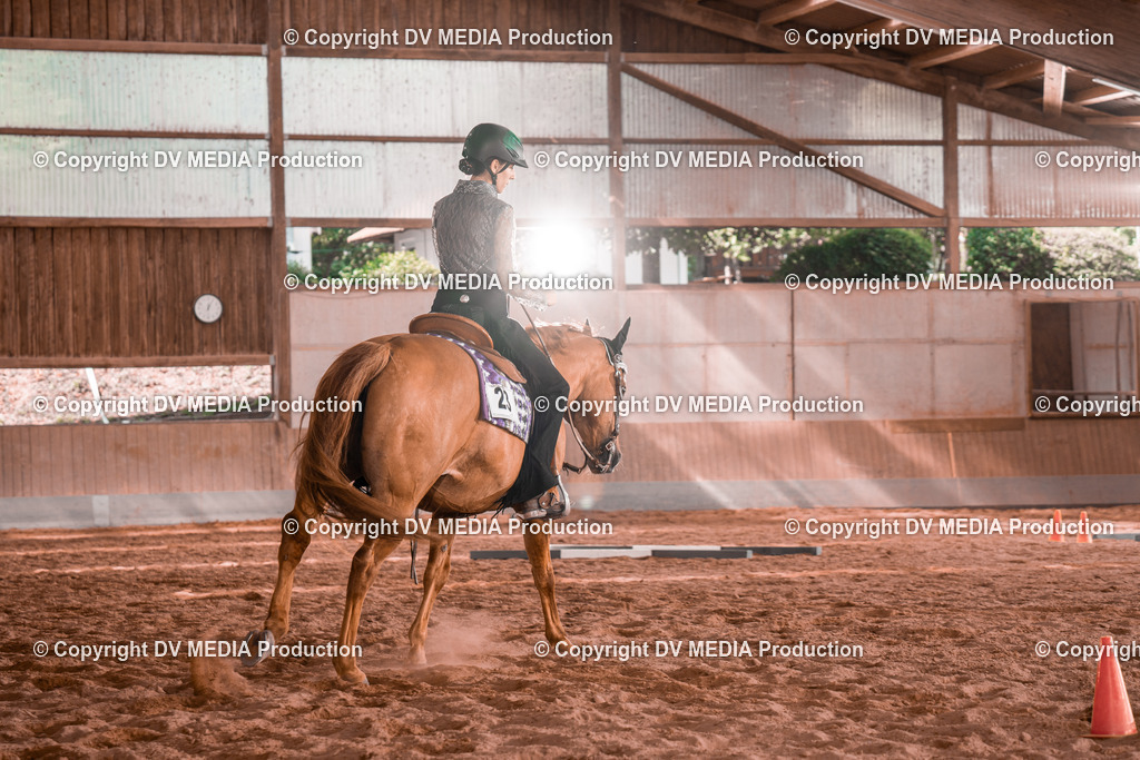 NE200263 | dv-media-shop - Realisiert mit Pictrs.com