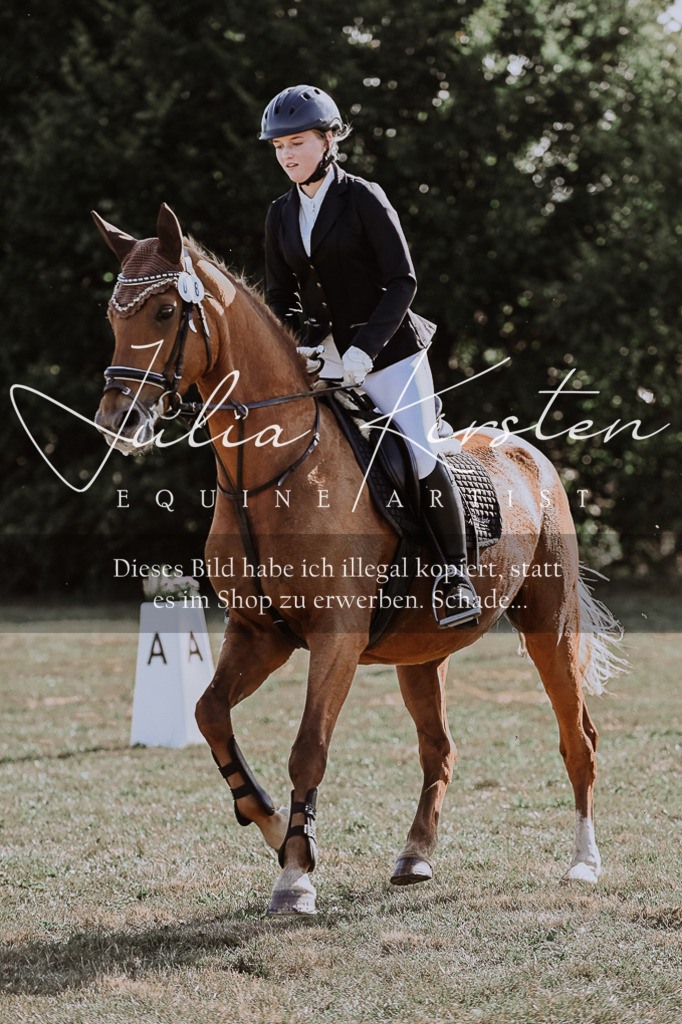 DSC_9540 | Pferde- und Turnierfotografie in Westsachsen. Pferdeportraits, Auftragszeichnungen und intuitive Kunst.